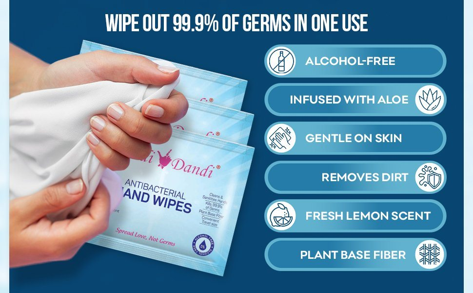 Handi Dandi Antibacterial Hand Wipes - Wipe out 99.9% of germs in one use